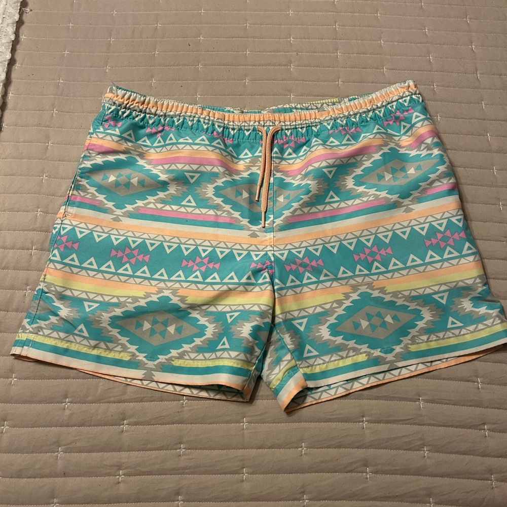 Chubbies Classic Swim Trunk The En Fuegos